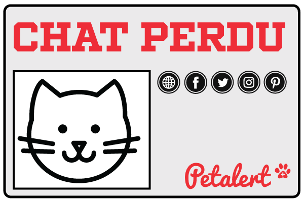 PetAlert diffuse votre avis de chat perdu